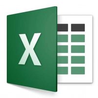 Microsoft Excel® 2019