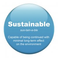 Sustainability Professional